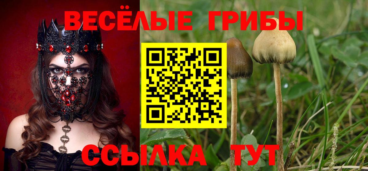 Уварово  Галлюциногенные грибы мицелий  Вход с VPN 